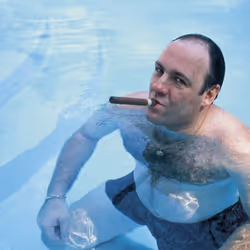 Espace réservé aux médias de l'article