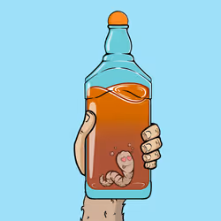 5355