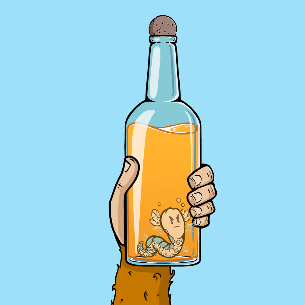 Item Media