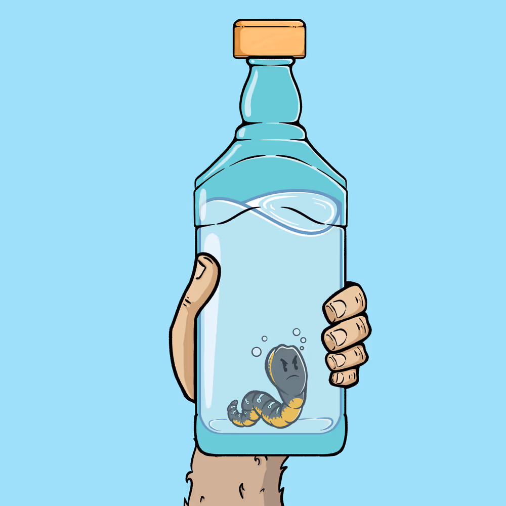 Item Media