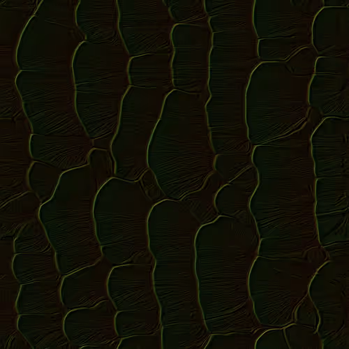Item #78 Media