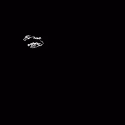 256