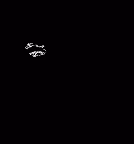 256