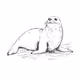 Seal #13