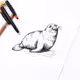 Seal #19