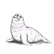 Seal #8
