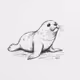 Seal #14
