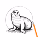 Seal #6