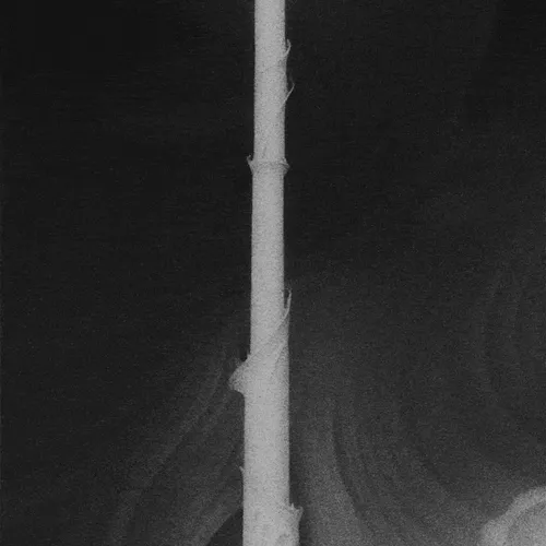 Tower