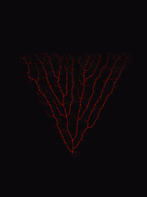 Item #200000060 Media