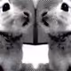 Welcome Bunni to Arbitrum