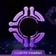 CLUSTER SWARMS