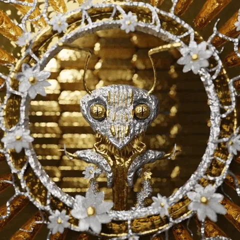 The colony_dead