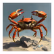 Crabby Crabs