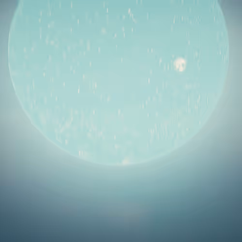 S3c V2