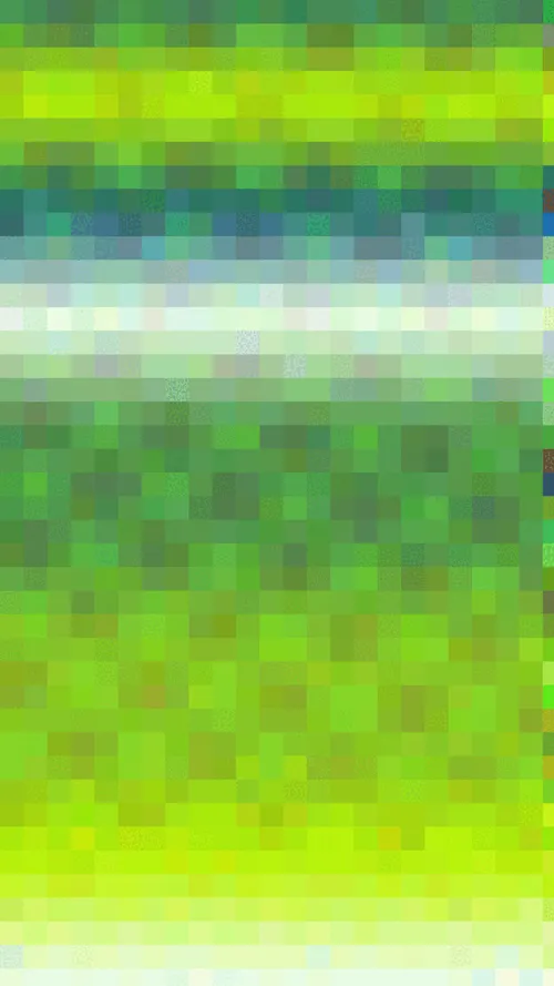Item #51000000000000000000 Media