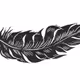 feather