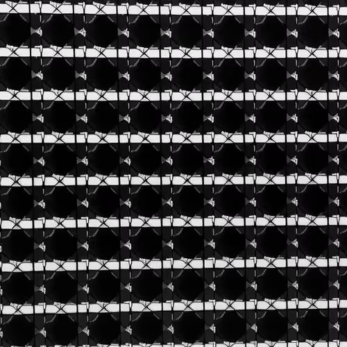Neural Synesthesia