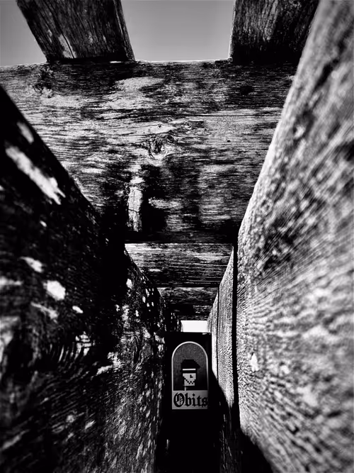 Item #13000000000000000008 Media