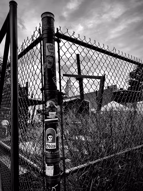 Item #32000000000000000008 Media