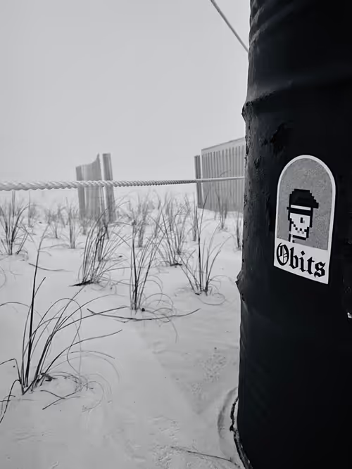 Item #20000000000000000005 Media