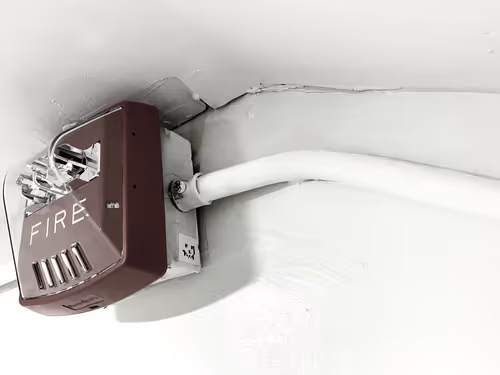 Item #38000000000000000004 Media