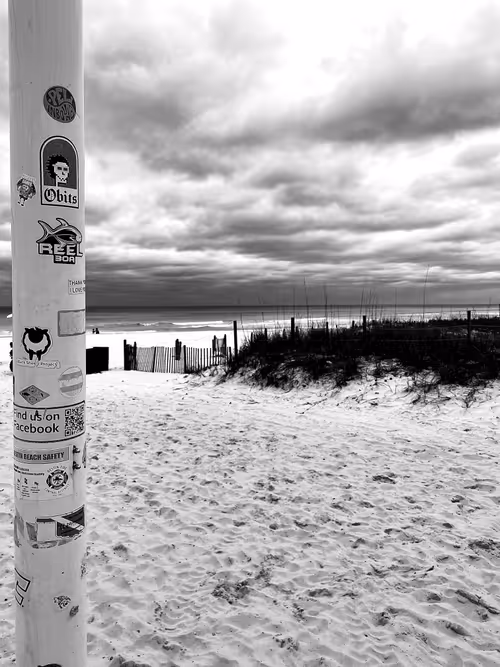 Item #23000000000000000008 Media