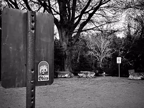 Item #25000000000000000006 Media