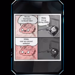 81