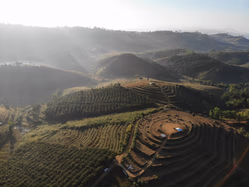 Item #1000000000000000003 Media