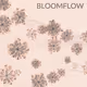 Bloomflow