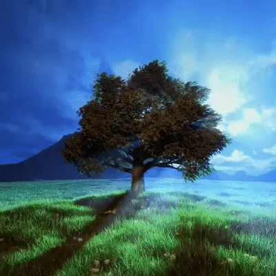 The Story Of One Tree