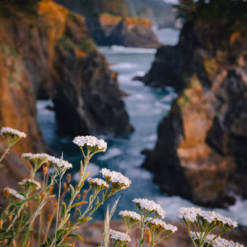 Natural Bridges in Oregon