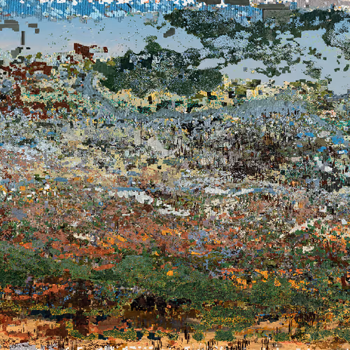 Blooming Meadow