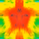 53