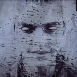 43
