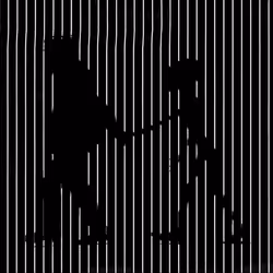 50