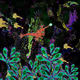 198