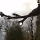 NaTur3 sLowM0