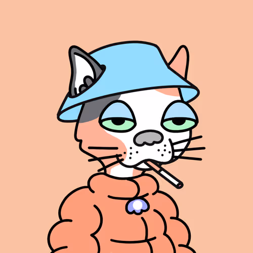 Doodle Cats