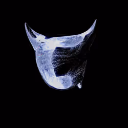 23