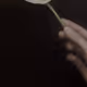 BTS and diary notes (Rodeo)