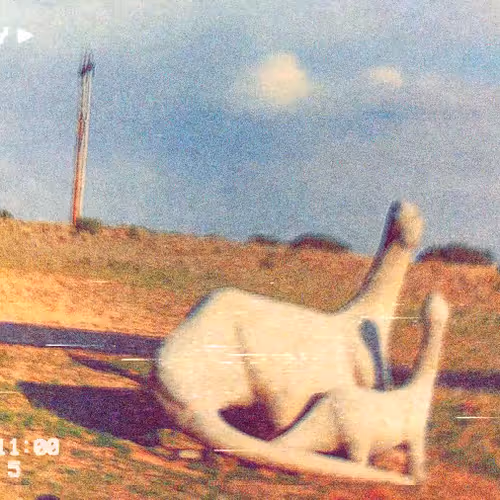 586