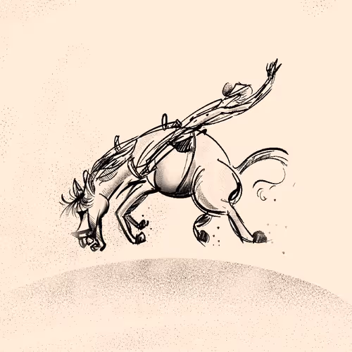 Rodeo posts