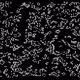 64