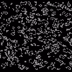 304
