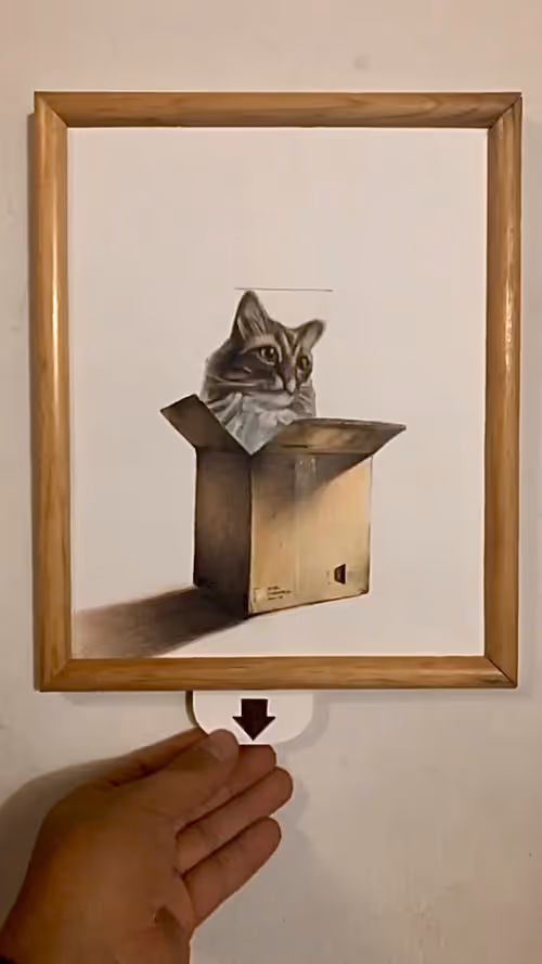 Item #71 Media
