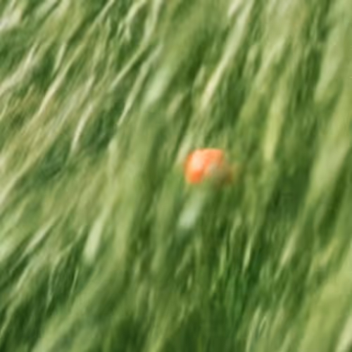 366