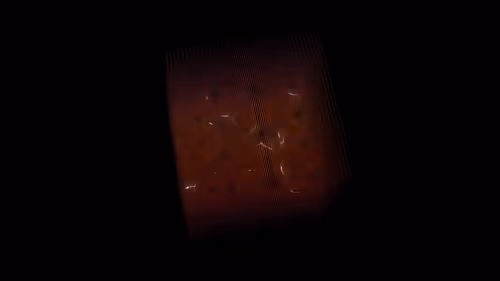 Item #3 Media