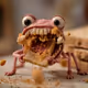 733